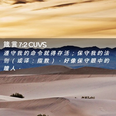 Picture 02 - 箴 言 7:2 CUVS - 遵 守 我 的 命 令 就 得 存 活 ； 保 - Bible Verse Picture