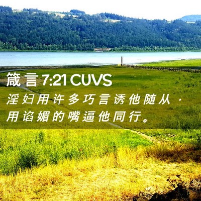 Picture 02 - 箴 言 7:21 CUVS - 淫 妇 用 许 多 巧 言 诱 他 随 从 ， - Bible Verse Picture