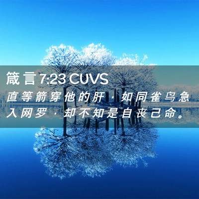 Picture 02 - 箴 言 7:23 CUVS - 直 等 箭 穿 他 的 肝 ， 如 同 雀 鸟 - Bible Verse Picture
