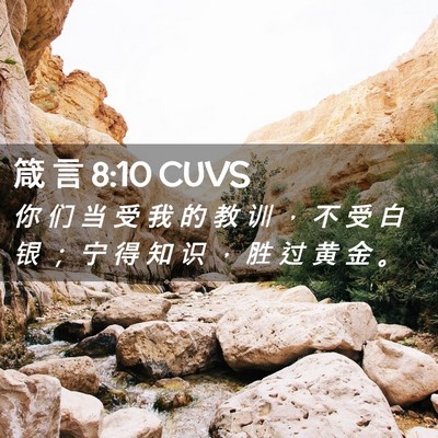 Picture 02 - 箴 言 8:10 CUVS - 你 们 当 受 我 的 教 训 ， 不 受 白 - Bible Verse Picture