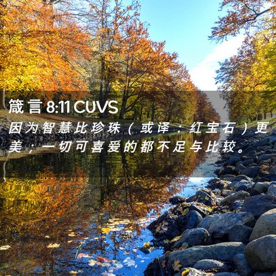 Picture 02 - 箴 言 8:11 CUVS - 因 为 智 慧 比 珍 珠 （ 或 译 ： 红 - Bible Verse Picture