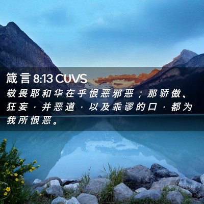 Picture 02 - 箴 言 8:13 CUVS - 敬 畏 耶 和 华 在 乎 恨 恶 邪 恶 ； - Bible Verse Picture