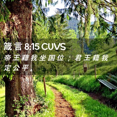 Picture 02 - 箴 言 8:15 CUVS - 帝 王 藉 我 坐 国 位 ； 君 王 藉 我 - Bible Verse Picture