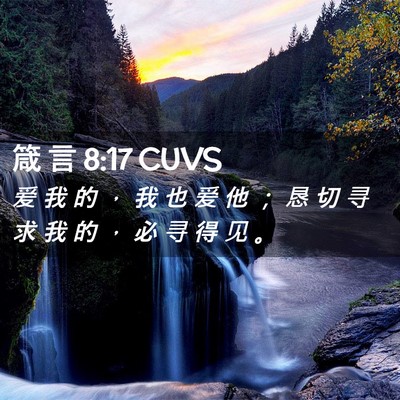 Picture 02 - 箴 言 8:17 CUVS - 爱 我 的 ， 我 也 爱 他 ； 恳 切 寻 - Bible Verse Picture