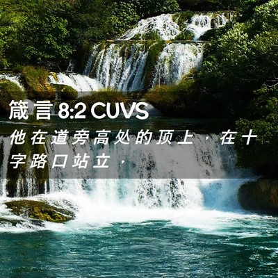 Picture 02 - 箴 言 8:2 CUVS - 他 在 道 旁 高 处 的 顶 上 ， 在 十 - Bible Verse Picture