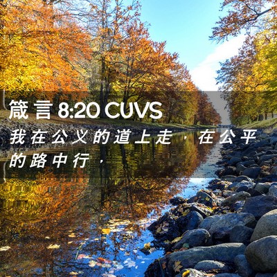 Picture 02 - 箴 言 8:20 CUVS - 我 在 公 义 的 道 上 走 ， 在 公 平 - Bible Verse Picture