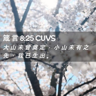 Picture 02 - 箴 言 8:25 CUVS - 大 山 未 曾 奠 定 ， 小 山 未 有 之 - Bible Verse Picture
