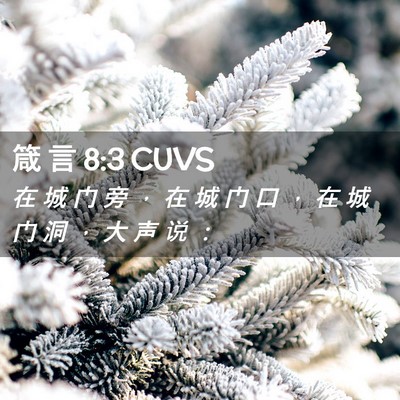 Picture 02 - 箴 言 8:3 CUVS - 在 城 门 旁 ， 在 城 门 口 ， 在 城 - Bible Verse Picture