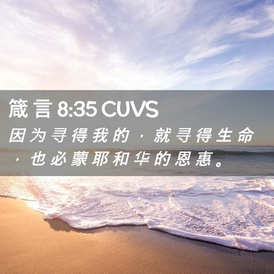 Picture 02 - 箴 言 8:35 CUVS - 因 为 寻 得 我 的 ， 就 寻 得 生 命 - Bible Verse Picture