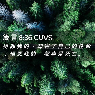 Picture 02 - 箴 言 8:36 CUVS - 得 罪 我 的 ， 却 害 了 自 己 的 性 - Bible Verse Picture