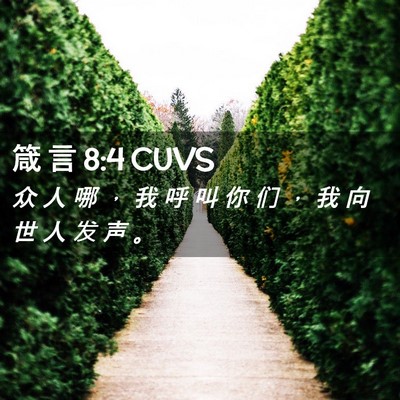 Picture 02 - 箴 言 8:4 CUVS - 众 人 哪 ， 我 呼 叫 你 们 ， 我 向 - Bible Verse Picture