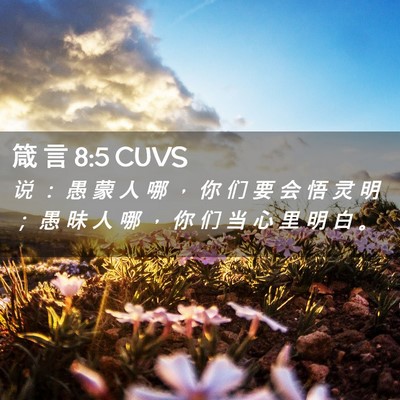 Picture 02 - 箴 言 8:5 CUVS - 说 ： 愚 蒙 人 哪 ， 你 们 要 会 悟 - Bible Verse Picture