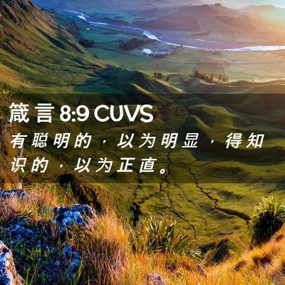 Picture 02 - 箴 言 8:9 CUVS - 有 聪 明 的 ， 以 为 明 显 ， 得 知 - Bible Verse Picture