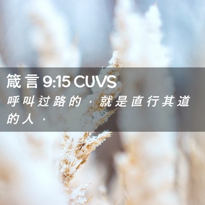 Picture 02 - 箴 言 9:15 CUVS - 呼 叫 过 路 的 ， 就 是 直 行 其 道 - Bible Verse Picture