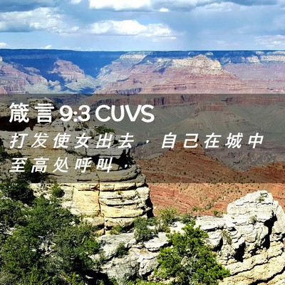 Picture 02 - 箴 言 9:3 CUVS - 打 发 使 女 出 去 ， 自 己 在 城 中 - Bible Verse Picture