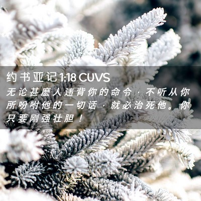Picture 02 - 约 书 亚 记 1:18 CUVS - 无 论 甚 麽 人 违 背 你 的 命 令 ， - Bible Verse Picture