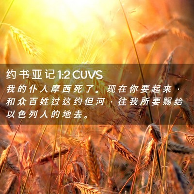 Picture 02 - 约 书 亚 记 1:2 CUVS - 我 的 仆 人 摩 西 死 了 。 现 在 你 - Bible Verse Picture