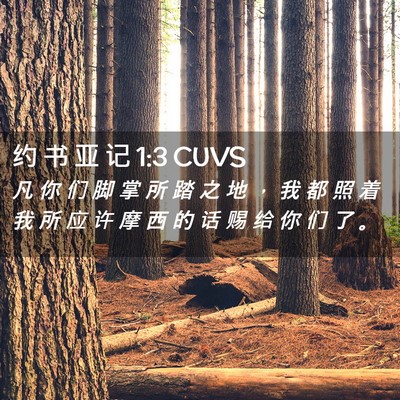 Picture 02 - 约 书 亚 记 1:3 CUVS - 凡 你 们 脚 掌 所 踏 之 地 ， 我 都 - Bible Verse Picture