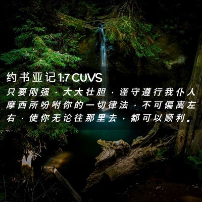 Picture 02 - 约 书 亚 记 1:7 CUVS - 只 要 刚 强 ， 大 大 壮 胆 ， 谨 守 - Bible Verse Picture