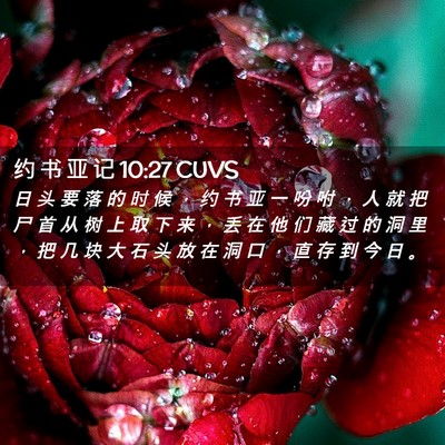 Picture 02 - 约 书 亚 记 10:27 CUVS - 日 头 要 落 的 时 候 ， 约 书 亚 一 - Bible Verse Picture