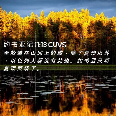 Picture 02 - 约 书 亚 记 11:13 CUVS - 至 於 造 在 山 冈 上 的 城 ， 除 了 - Bible Verse Picture