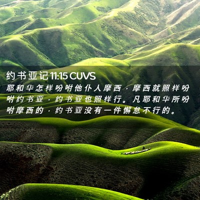Picture 02 - 约 书 亚 记 11:15 CUVS - 耶 和 华 怎 样 吩 咐 他 仆 人 摩 西 - Bible Verse Picture