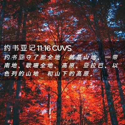 Picture 02 - 约 书 亚 记 11:16 CUVS - 约 书 亚 夺 了 那 全 地 ， 就 是 山 - Bible Verse Picture