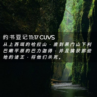 Picture 02 - 约 书 亚 记 11:17 CUVS - 从 上 西 珥 的 哈 拉 山 ， 直 到 黑 - Bible Verse Picture