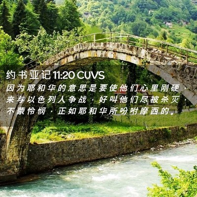 Picture 02 - 约 书 亚 记 11:20 CUVS - 因 为 耶 和 华 的 意 思 是 要 使 他 - Bible Verse Picture