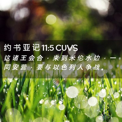 Picture 02 - 约 书 亚 记 11:5 CUVS - 这 诸 王 会 合 ， 来 到 米 伦 水 边 - Bible Verse Picture