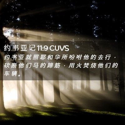Picture 02 - 约 书 亚 记 11:9 CUVS - 约 书 亚 就 照 耶 和 华 所 吩 咐 他 - Bible Verse Picture