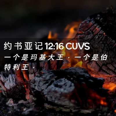 Picture 02 - 约 书 亚 记 12:16 CUVS - 一 个 是 玛 基 大 王 ， 一 个 是 伯 - Bible Verse Picture