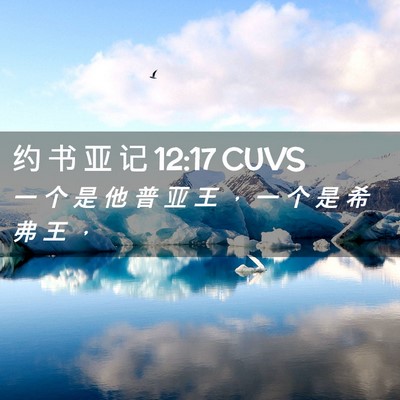 Picture 02 - 约 书 亚 记 12:17 CUVS - 一 个 是 他 普 亚 王 ， 一 个 是 希 - Bible Verse Picture