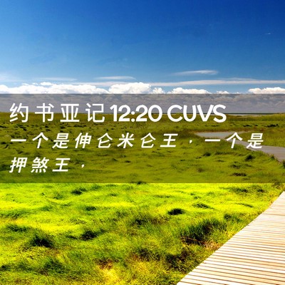 Picture 02 - 约 书 亚 记 12:20 CUVS - 一 个 是 伸 仑 米 仑 王 ， 一 个 是 - Bible Verse Picture
