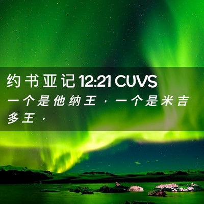 Picture 02 - 约 书 亚 记 12:21 CUVS - 一 个 是 他 纳 王 ， 一 个 是 米 吉 - Bible Verse Picture