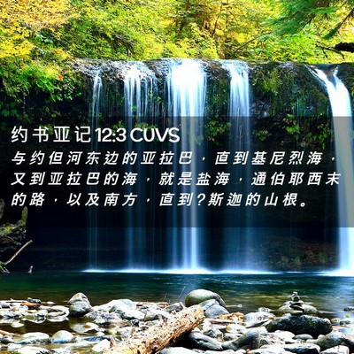 Picture 02 - 约 书 亚 记 12:3 CUVS - 与 约 但 河 东 边 的 亚 拉 巴 ， 直 - Bible Verse Picture