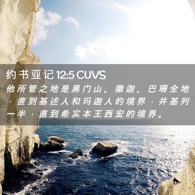 Picture 02 - 约 书 亚 记 12:5 CUVS - 他 所 管 之 地 是 黑 门 山 、 撒 迦 - Bible Verse Picture