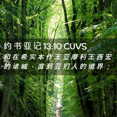 Picture 02 - 约 书 亚 记 13:10 CUVS - 和 在 希 实 本 作 王 亚 摩 利 王 西 - Bible Verse Picture