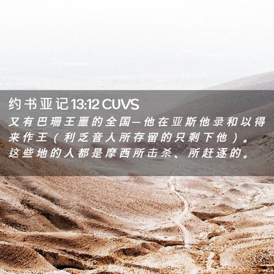 Picture 02 - 约 书 亚 记 13:12 CUVS - 又 有 巴 珊 王 噩 的 全 国 ─ 他 在 - Bible Verse Picture