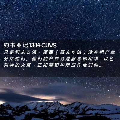Picture 02 - 约 书 亚 记 13:14 CUVS - 只 是 利 未 支 派 ， 摩 西 （ 原 文 - Bible Verse Picture