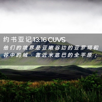 Picture 02 - 约 书 亚 记 13:16 CUVS - 他 们 的 境 界 是 亚 嫩 谷 边 的 亚 - Bible Verse Picture