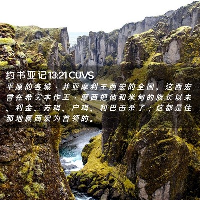 Picture 02 - 约 书 亚 记 13:21 CUVS - 平 原 的 各 城 ， 并 亚 摩 利 王 西 - Bible Verse Picture