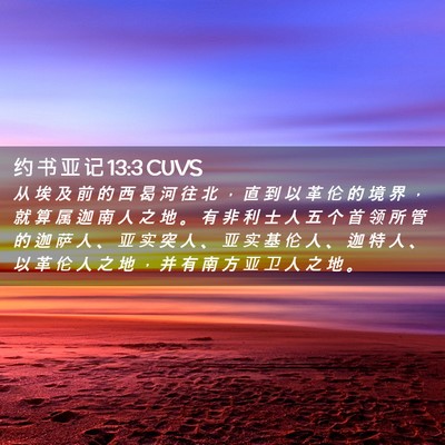 Picture 02 - 约 书 亚 记 13:3 CUVS - 从 埃 及 前 的 西 曷 河 往 北 ， 直 - Bible Verse Picture