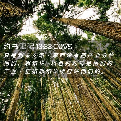 Picture 02 - 约 书 亚 记 13:33 CUVS - 只 是 利 未 支 派 ， 摩 西 没 有 把 - Bible Verse Picture