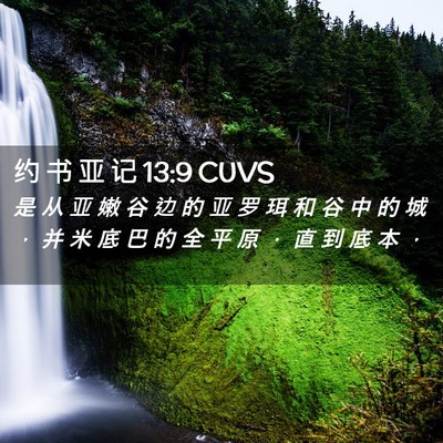 Picture 02 - 约 书 亚 记 13:9 CUVS - 是 从 亚 嫩 谷 边 的 亚 罗 珥 和 谷 - Bible Verse Picture