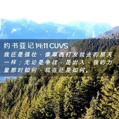 Picture 02 - 约 书 亚 记 14:11 CUVS - 我 还 是 强 壮 ， 像 摩 西 打 发 我 - Bible Verse Picture