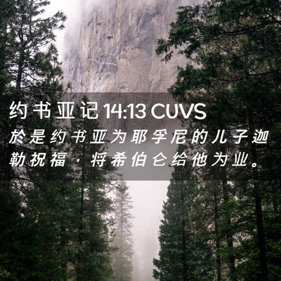 Picture 02 - 约 书 亚 记 14:13 CUVS - 於 是 约 书 亚 为 耶 孚 尼 的 儿 子 - Bible Verse Picture