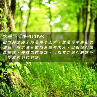 Picture 02 - 约 书 亚 记 14:4 CUVS - 因 为 约 瑟 的 子 孙 是 两 个 支 派 - Bible Verse Picture