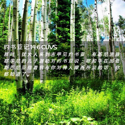 Picture 02 - 约 书 亚 记 14:6 CUVS - 那 时 ， 犹 大 人 来 到 吉 甲 见 约 - Bible Verse Picture