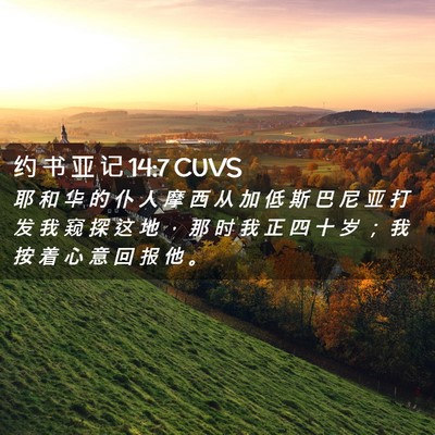 Picture 02 - 约 书 亚 记 14:7 CUVS - 耶 和 华 的 仆 人 摩 西 从 加 低 斯 - Bible Verse Picture
